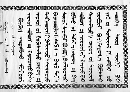11043073_746874572076835_6027615875372735820_n