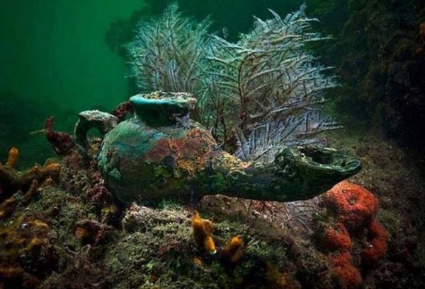 11077851_686633994825192_5790492008733619876_n