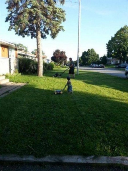 1613957_796905267023193_8039611109994429904_n