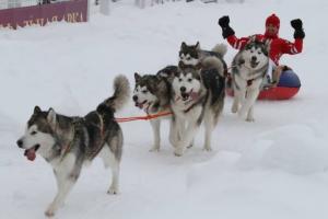 32_f5e0893afe823399fb659c3efa918dcb1547aac1