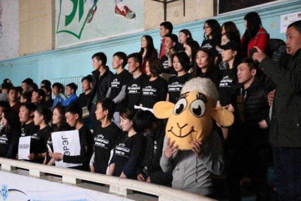 3466062550c06745d61041