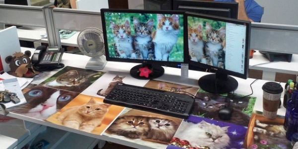 Snapshot_2015-03-30_173144_zpsv8himjm1