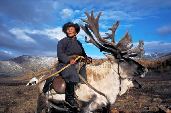 reindeerriders0