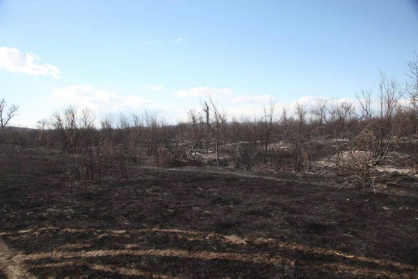 11158071_979753298710967_1151983277_n