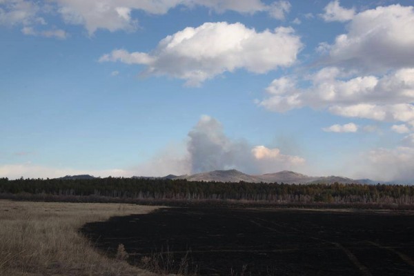 11160194_979753325377631_904045595_n