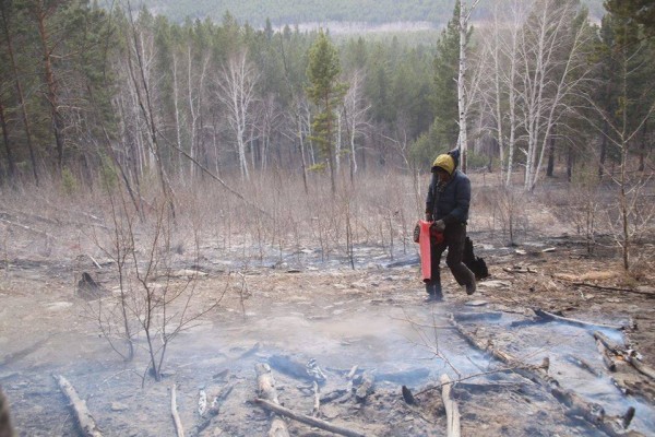 11166006_979752975377666_958653333_n