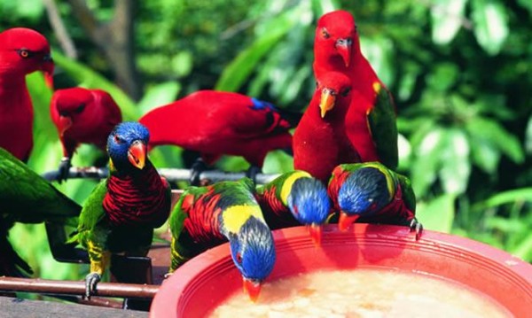 11173575_705810052861199_1804301962_n