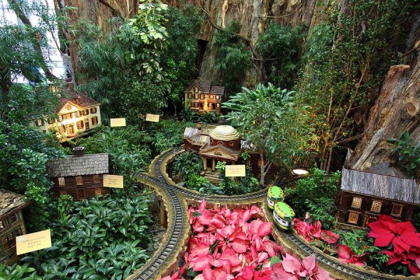 11198377_705809496194588_386781079_n