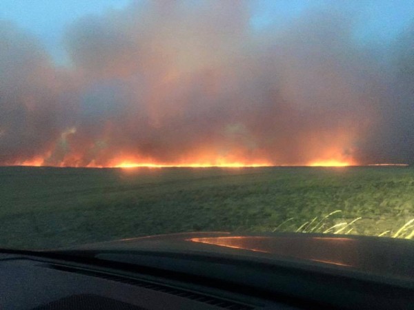 1610918_1557237367874976_4195418532321607863_n