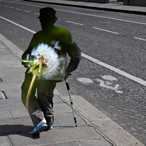 17429_923742767646773_6391806311479005159_n