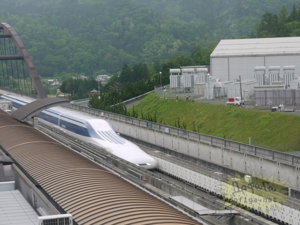 401262