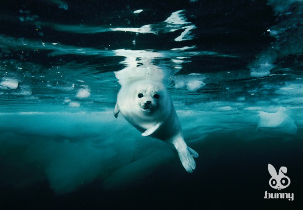 d6204c58f720156cb71efcf255684c43