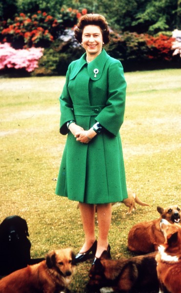 rs_634x1024-141114150052-634.Queen-Elizabeth-Corgis.jl.111414