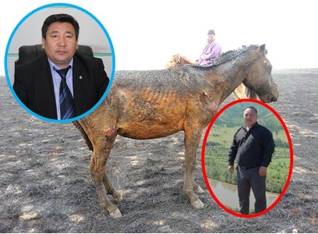 shagai972910484201504030842