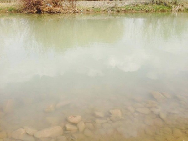 10411834_1630537393828212_8989290416550563280_n