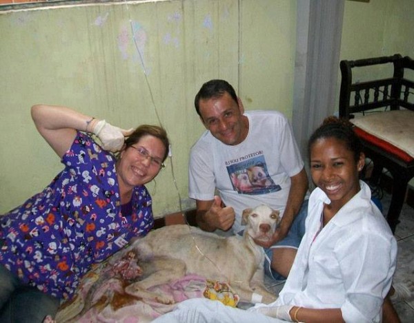 10420403_1574983292768462_8215370437409809152_n