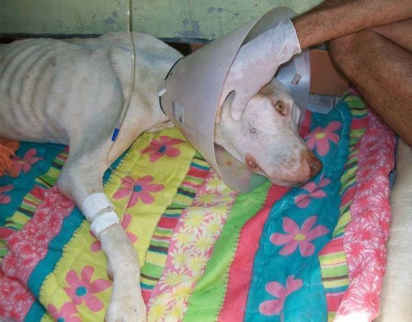 10690103_1574983382768453_3938646533479212388_n