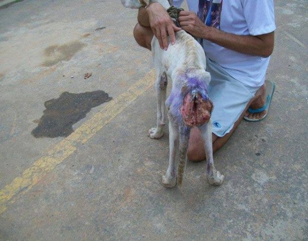 10931161_1574983249435133_6253225222813171242_n