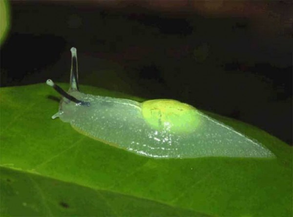 11008464_950202821743335_2602453414022245843_n