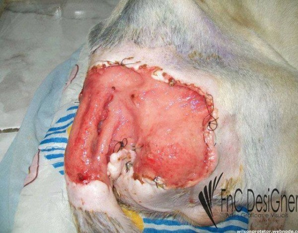 11130108_1574983532768438_8885971388959025066_n