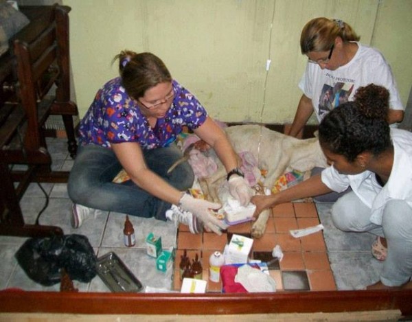 11143724_1574983266101798_5713451492647724056_n