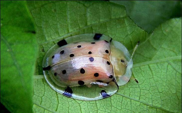 11149582_950203285076622_7574368651109304361_n