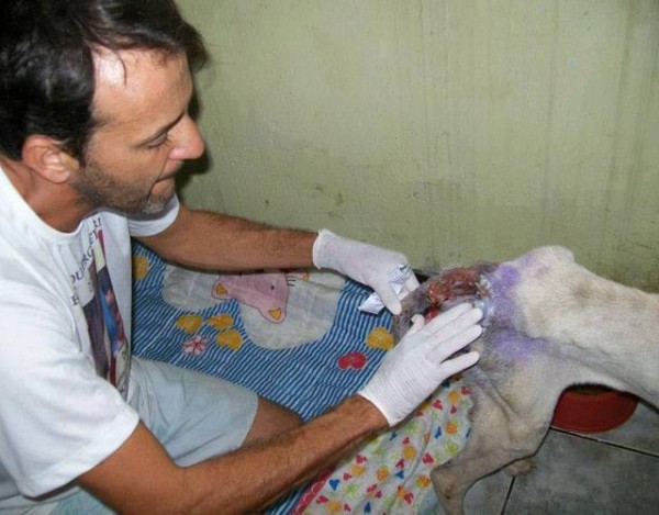 11180610_1574983202768471_1087673532965521181_n