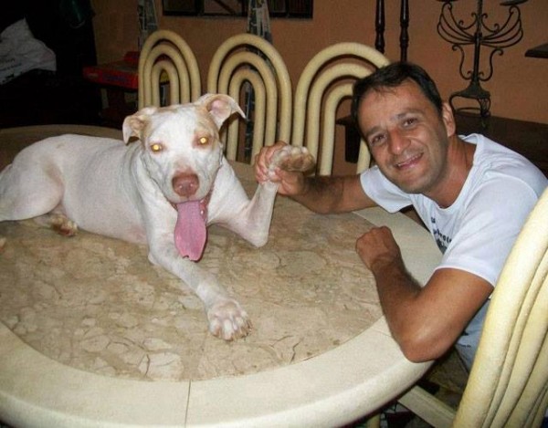 11218498_1574983562768435_3857079183025483617_n