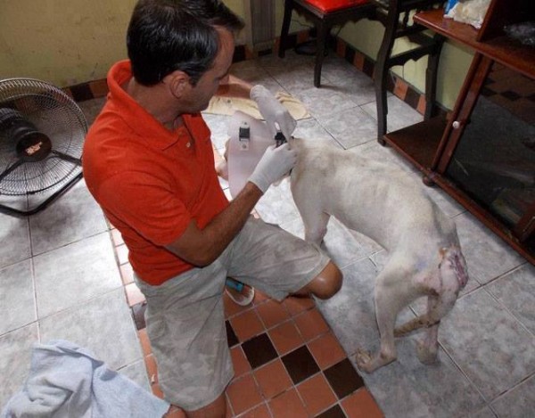 11220088_1574983436101781_7532880030342980909_n