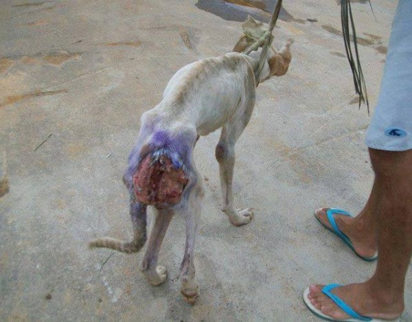 11224149_1574983189435139_8152897474947191505_n