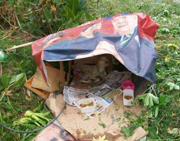 11231679_1574983132768478_340664430075548962_n