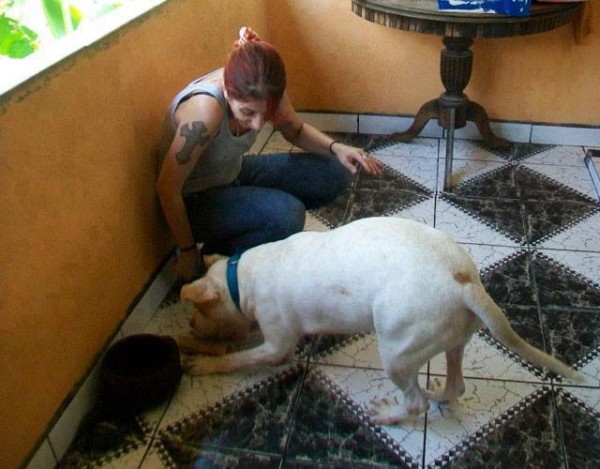 11265452_1574983516101773_7889722447104180404_n