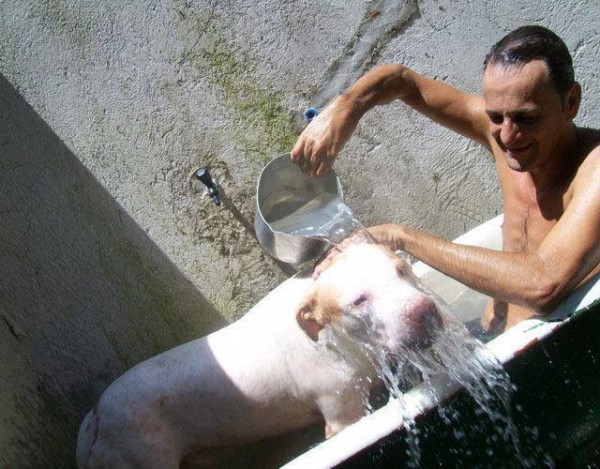 11266591_1574983646101760_1353851403672343678_n