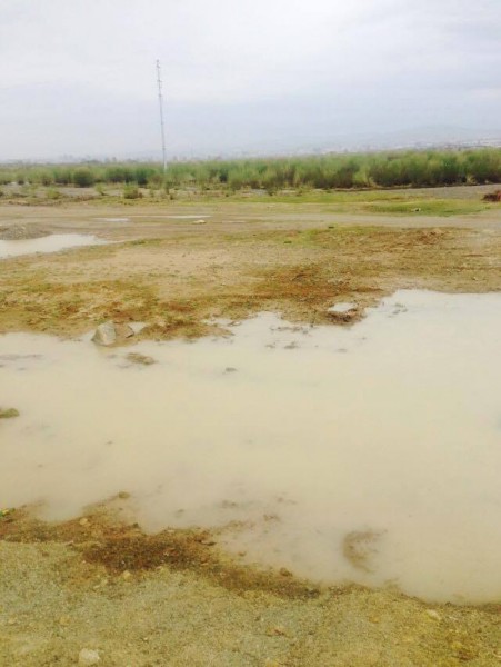 11267746_1630537437161541_4768911669572089887_n