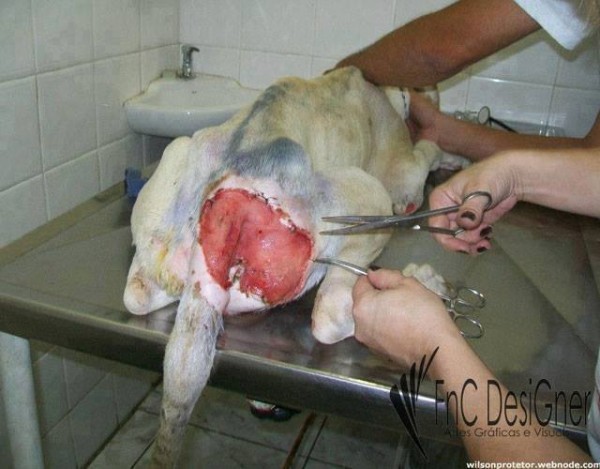 11329820_1574983639435094_1143660399369465198_n