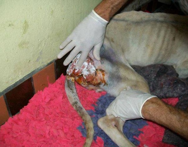 11330022_1574983142768477_4854017039909154499_n