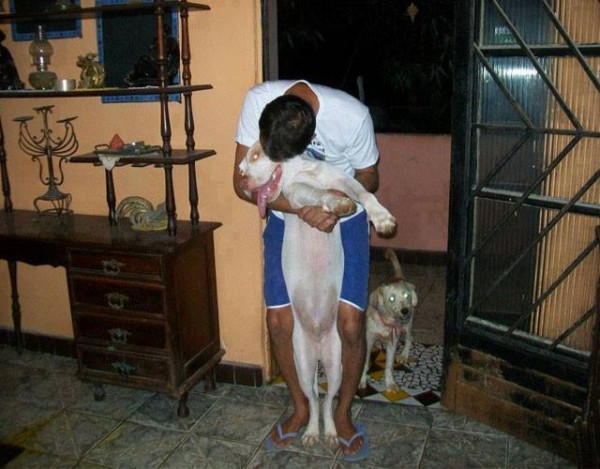 11350501_1574983529435105_5643603541017626125_n