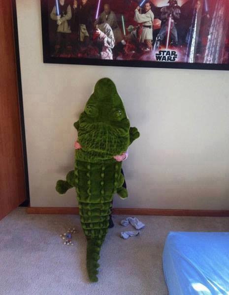 11351236_947233518706932_6106744921759652312_n