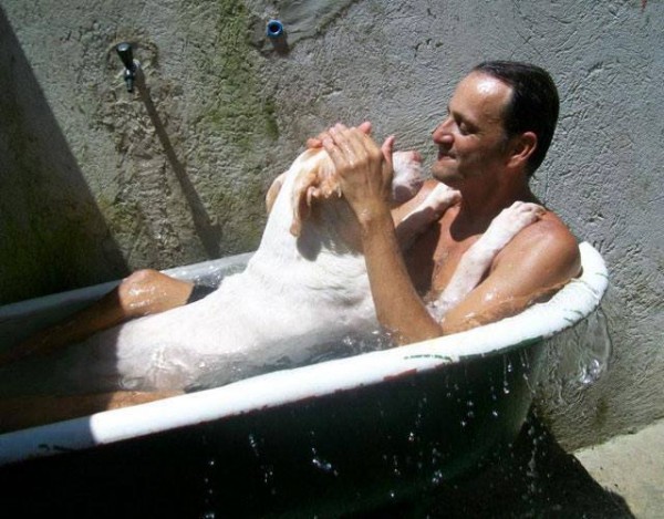 11390152_1574983612768430_4775288698095343202_n