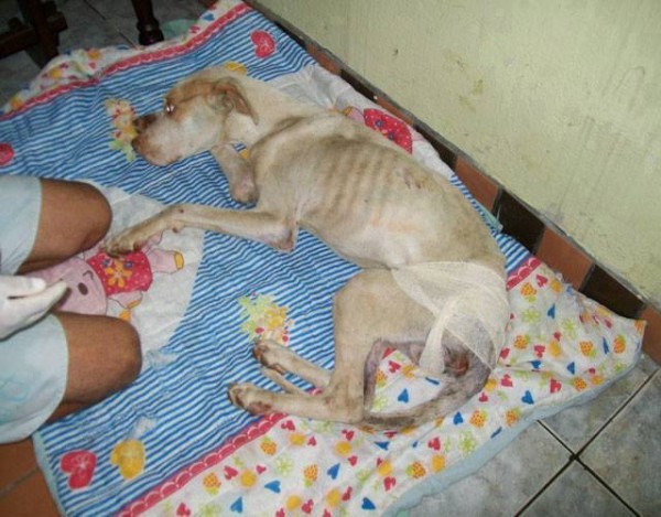 11391735_1574983176101807_5467469802798917148_n