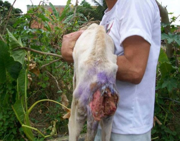 11392779_1574983112768480_6856086029215134839_n