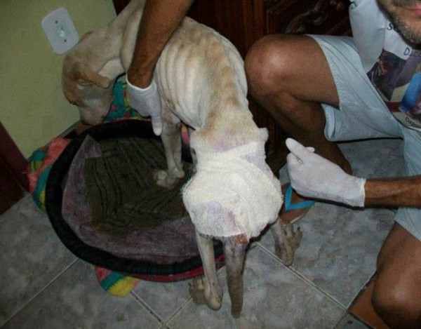 11393097_1574983206101804_2560988983109896120_n