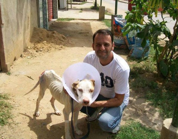 11393166_1574983479435110_4554024160216013463_n