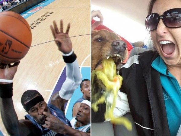 1903995_947471562016461_4471694013928394933_n