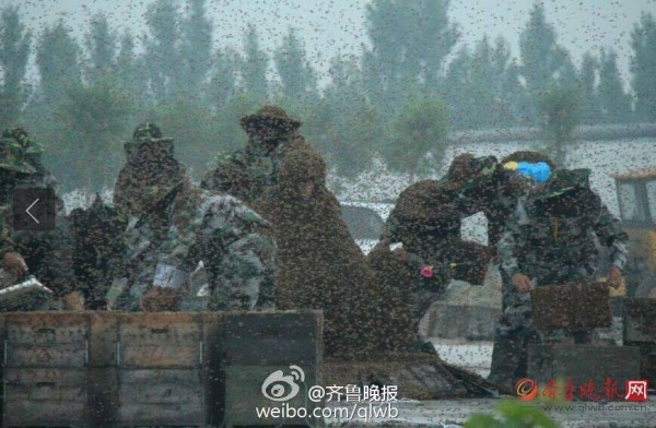 3aukgm81k1lpk7hkq4jlupk1gu