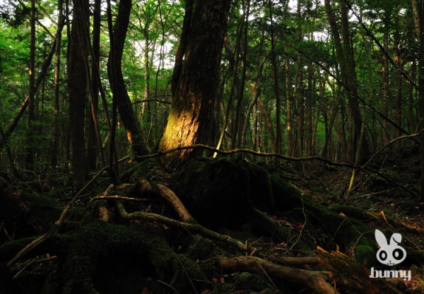 5196fb2484524703e5521b9608b4ec16