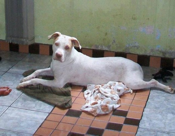 549287_1574983586101766_6994120155943966603_n