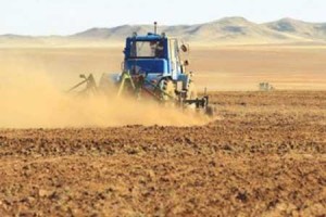 5689195d6afabfccoriginal