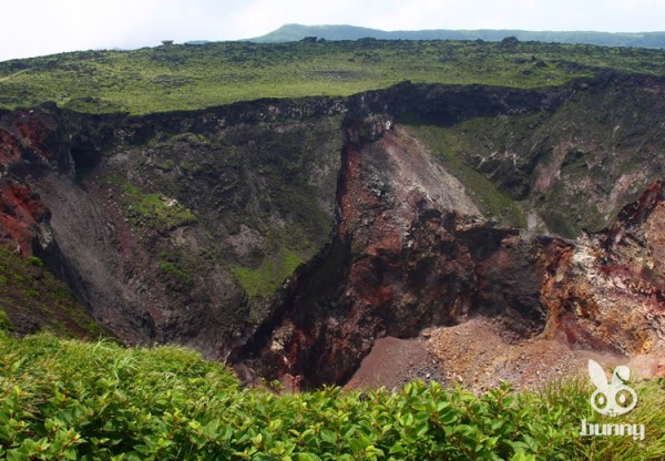 68313a445ee704e9a2ca9cb4513f4786