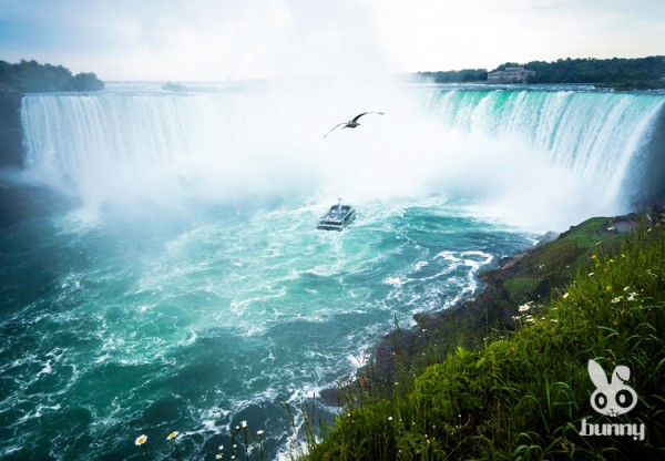 e88a2547b564a2240e2ac72793941629